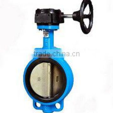 Low Temperature Gear Butterfly Valve