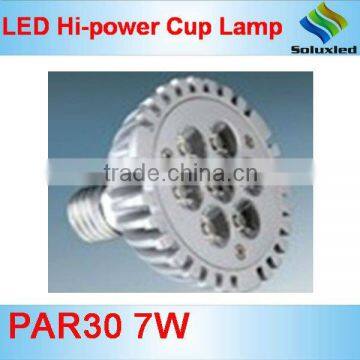 PAR30 led spotlight