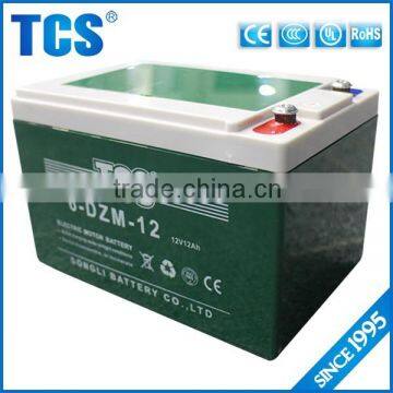 Special custom electric bike battery 12v