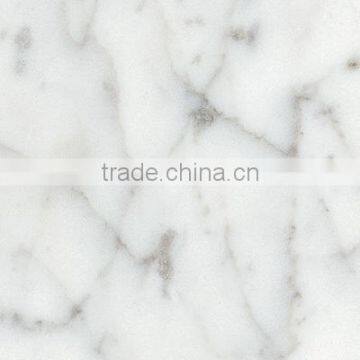 polished Carrara White marble