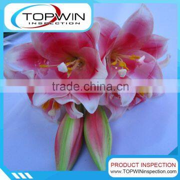 Plastic Flower Inspection company in China