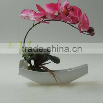 Art Potted Flower Five Heads Moth Orchid