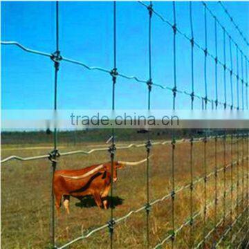 Metal wire mesh fence/field fence(China professional suppliers)Kraal Iron Wire Net