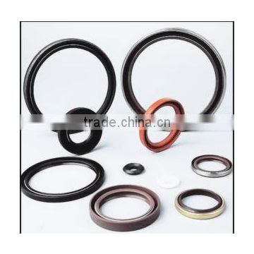 High Performance Hydraulic Oil Seal double lips