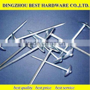 smooth umbrella head roofing nail