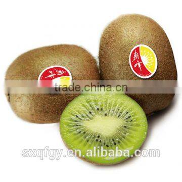 Fresh green kiwi
