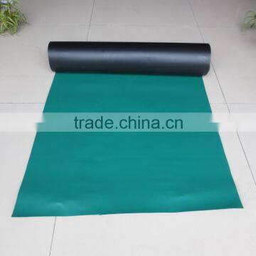 China Top Standard HDPE Geomembrane Price