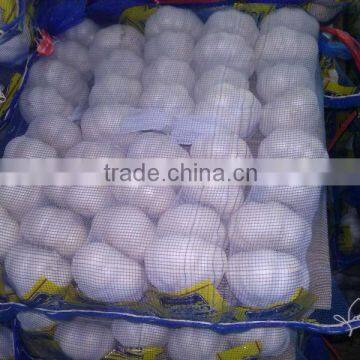 CHIN NEW GARLIC FOR EXPORT photo-2