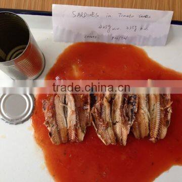 Wonderful Sardines in Tomato Sauce to Selling