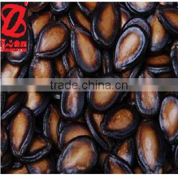 Melon Seeds of Original Taste photo-2