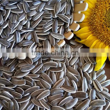 24/68 Chinese Sunflower Seeds 5009,1121,363,3638 For Human Consumption