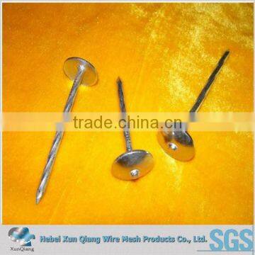 hot steel nail,hot galvanized roofing nails