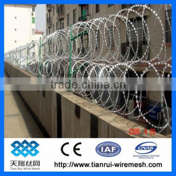 Electro/hot dipped galvanized Razor Wire(Professional Factory)