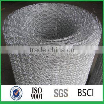 China Supplier Metal Gauze Mesh photo-4