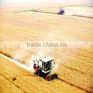 4LZ-3.0 Wheat Combine Harvester Machine