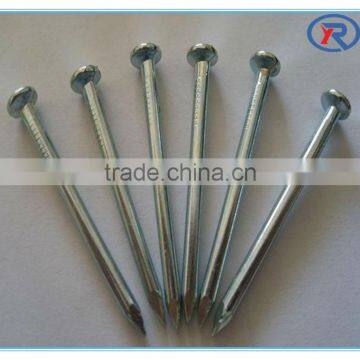cheap price common iron nails/common wire nail to Africe market