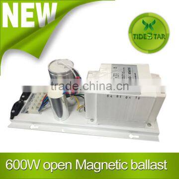 600W HPS MH Grow Light lamps Magnetic Ballast