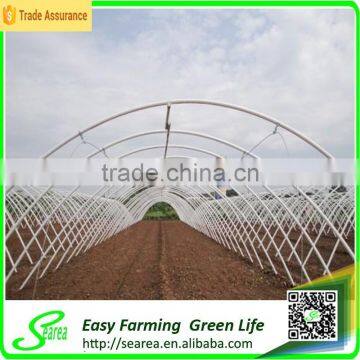 Used galanized steel pipe greenhouse for sale