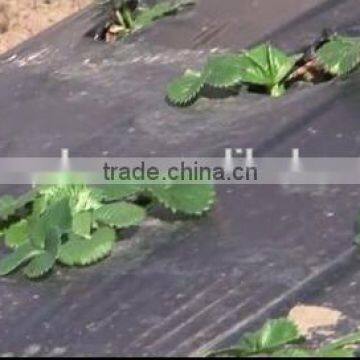 High Quality Agricultural Ground Cover photo-5