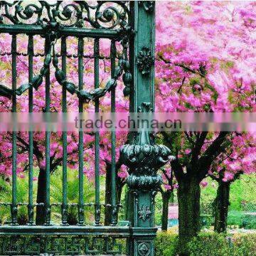 european luxury design classic style wrought iron gate (BG90235)