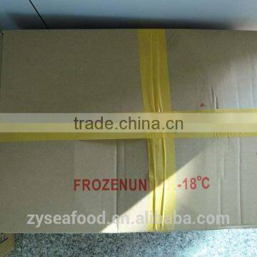 Frozen Bonito/Tuna Fish photo-3