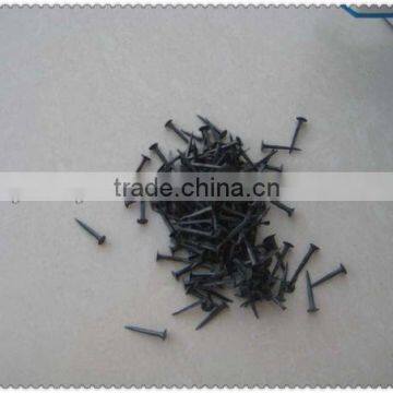Blue Shoe Tacks Nails(Guangzhou Factory)