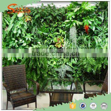 Famous Designer in China wholesale dry vertical garden green wall