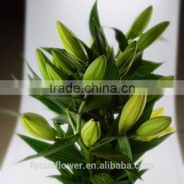 A Quality Artificial Easter Lily Flower Oriental Lilies On Sale 2017