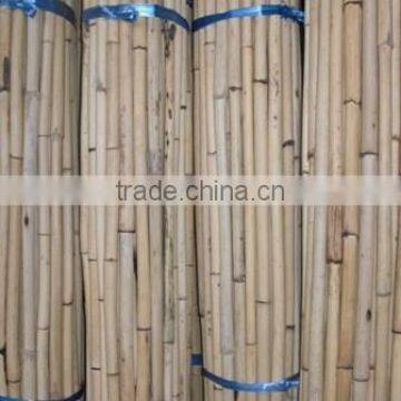 White Malacca cane