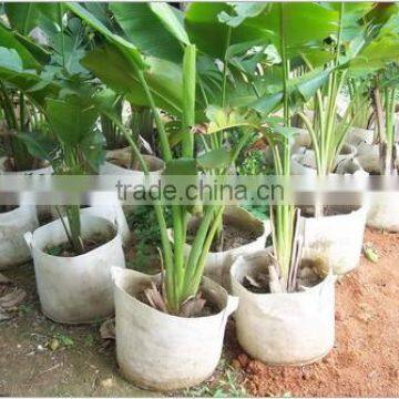 PP Non-woven Fabric,PP Spunbond Nonwoven,TNT Nonwoven Fabric photo-3