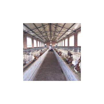 Broiler Poultry Shed Design