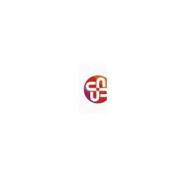 Sichuan Festalight Photoelectric Co.Ltd