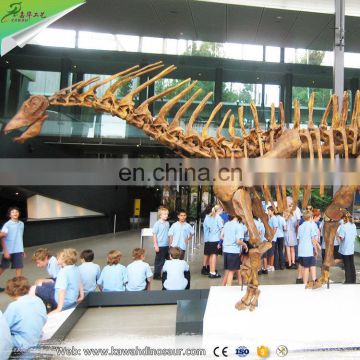 KAWAH Museum Artificial Educational Dinosaur Skeletons For Kids