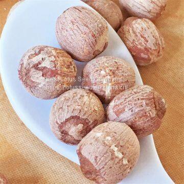 Lotus Seed Lotus Nut Lotus Kernel Dried Red Lotus Seed Brown Lotus Seed With Core Plumule photo-5
