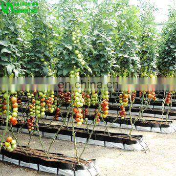 2017 High Quality China Hydroponic Set Supplies