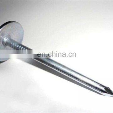 Hot Dipped Galvanized Roofing Nails With Umbrella Head photo-2