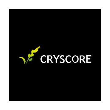 CRYSCORE OPTOELECTRONIC LIMITED