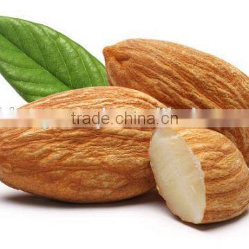 Organic Almonds / Almond nut /Almonds kernel