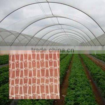 55g/m2 HDPE anti hail protection net / anti hail netting / anti hail net