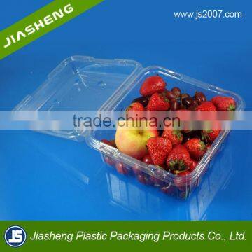 China Alibaba Blister Plastic Clamshell Fruit Tray Packaging