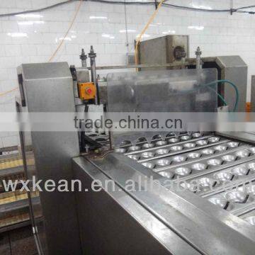 Hot sale Modern, Automatic and Efficient apricots cutting and pitting machine