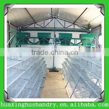 Hot dip galvanized 6 tiers manufacturers quail cage price