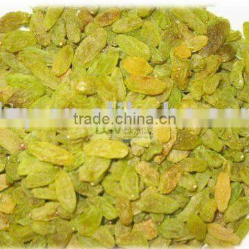 Green Raisins, Grade AA