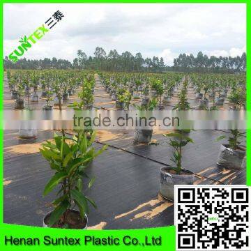 long lifetime PP weed barrier /black plastic ground cover/landscapde fabric