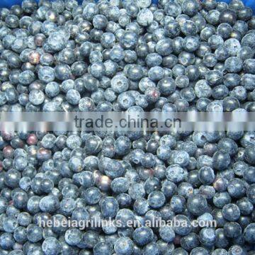 Frozen style blueberry cultivated