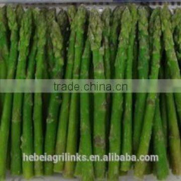 IQF Frozen style Chinese green asparagus