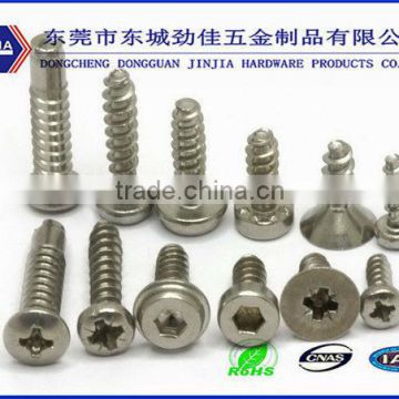 specilized in precision electronic screw manufacture