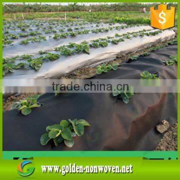 China supplier pp spunbond nonwoven fabric ss agriculture nonwoven fabric with UV resistant for vegetable                        
                                                                                Supplier's Choice