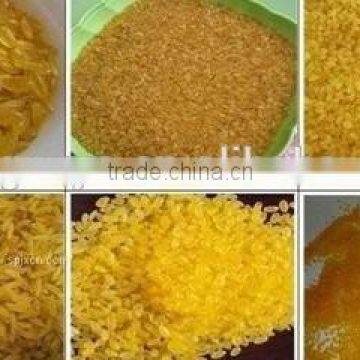 Nutritional rice processing line/machine/ extruder