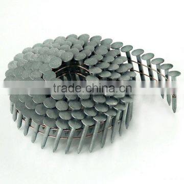 Common Nails / Roofing Nails / Coil Nail ( MANUFACTURER ) photo-6